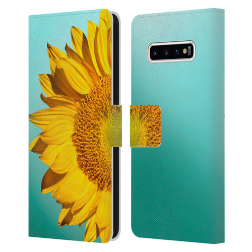 Mark Ashkenazi Florals Sunflowers Leather Book Wallet Case Cover For Samsung Galaxy S10+ / S10 Plus