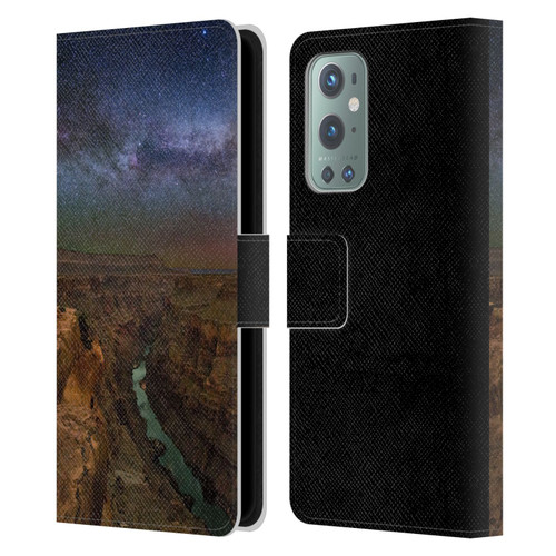 Royce Bair Photography Toroweap Leather Book Wallet Case Cover For OnePlus 9