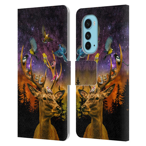 Dave Loblaw Animals Deer and Birds Leather Book Wallet Case Cover For Motorola Edge (2022)