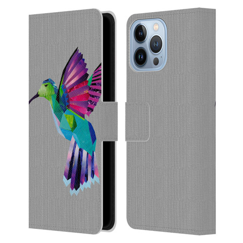 Artpoptart Animals Hummingbird Leather Book Wallet Case Cover For Apple iPhone 13 Pro Max