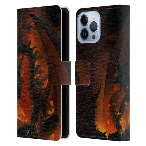 Vincent Hie Dragons 2 Fireball Leather Book Wallet Case Cover For Apple iPhone 13 Pro Max