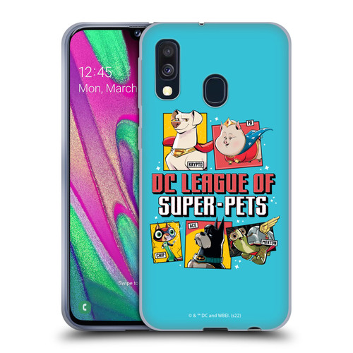 DC League Of Super Pets Graphics Characters 2 Soft Gel Case for Samsung Galaxy A40 (2019)