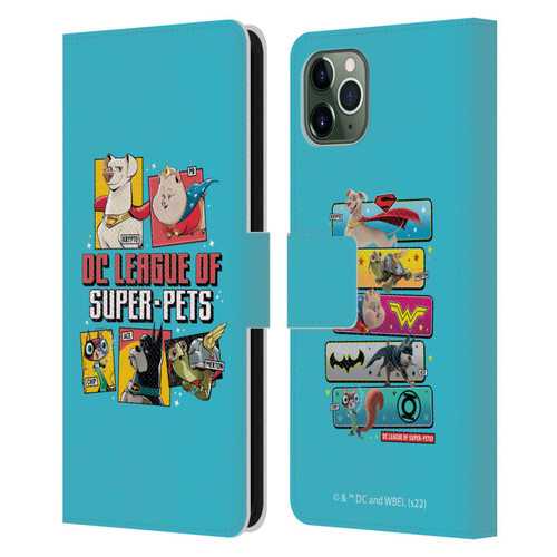 DC League Of Super Pets Graphics Characters 2 Leather Book Wallet Case Cover For Apple iPhone 11 Pro Max