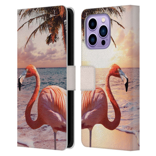 Random Galaxy Mixed Designs Flamingos & Palm Trees Leather Book Wallet Case Cover For Apple iPhone 14 Pro Max