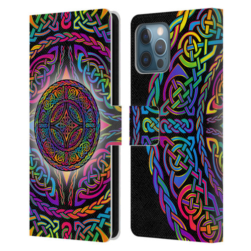 Beth Wilson Rainbow Celtic Knots Shield Leather Book Wallet Case Cover For Apple iPhone 12 Pro Max