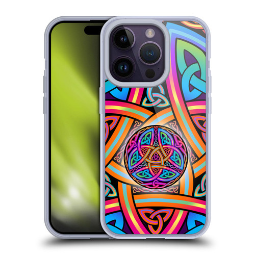 Beth Wilson Rainbow Celtic Knots Divine Soft Gel Case for Apple iPhone 14 Pro