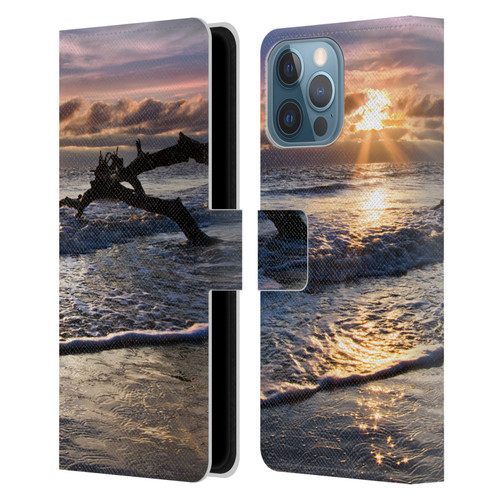 Celebrate Life Gallery Beaches Sparkly Water At Driftwood Leather Book Wallet Case Cover For Apple iPhone 13 Pro Max