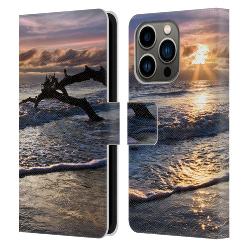 Celebrate Life Gallery Beaches Sparkly Water At Driftwood Leather Book Wallet Case Cover For Apple iPhone 14 Pro