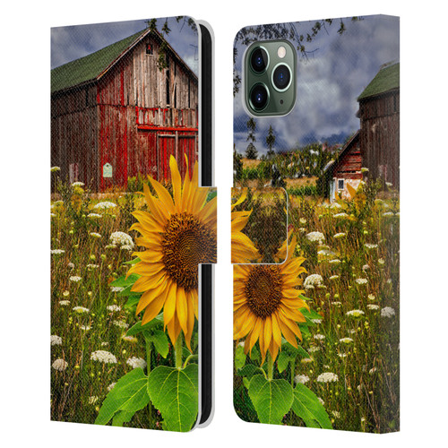 Celebrate Life Gallery Florals Barn Meadow Flowers Leather Book Wallet Case Cover For Apple iPhone 11 Pro Max