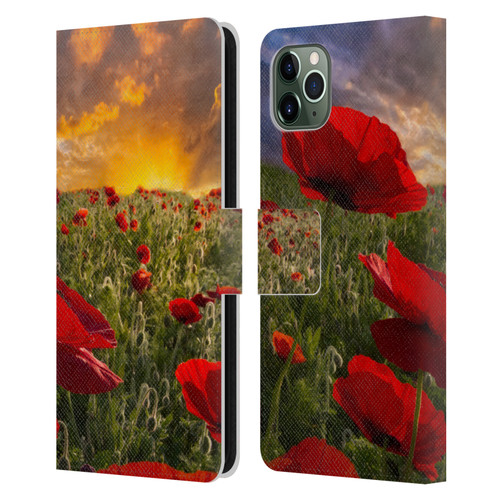 Celebrate Life Gallery Florals Red Flower Field Leather Book Wallet Case Cover For Apple iPhone 11 Pro Max
