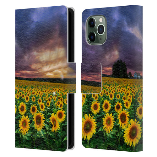 Celebrate Life Gallery Florals Stormy Sunrise Leather Book Wallet Case Cover For Apple iPhone 11 Pro