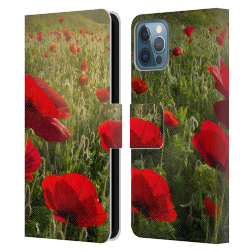 Celebrate Life Gallery Florals Waiting For The Morning Leather Book Wallet Case Cover For Apple iPhone 12 / iPhone 12 Pro