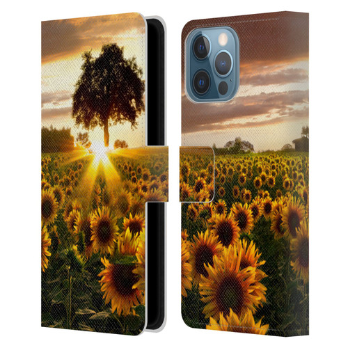 Celebrate Life Gallery Florals Fields Of Gold Leather Book Wallet Case Cover For Apple iPhone 13 Pro Max