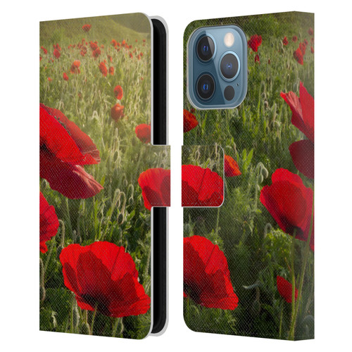 Celebrate Life Gallery Florals Waiting For The Morning Leather Book Wallet Case Cover For Apple iPhone 13 Pro