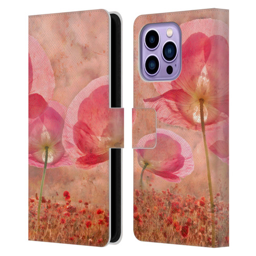 Celebrate Life Gallery Florals Dance Of The Fairies Leather Book Wallet Case Cover For Apple iPhone 14 Pro Max