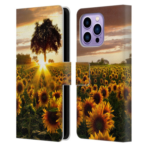 Celebrate Life Gallery Florals Fields Of Gold Leather Book Wallet Case Cover For Apple iPhone 14 Pro Max