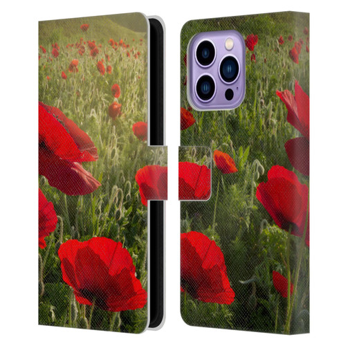 Celebrate Life Gallery Florals Waiting For The Morning Leather Book Wallet Case Cover For Apple iPhone 14 Pro Max