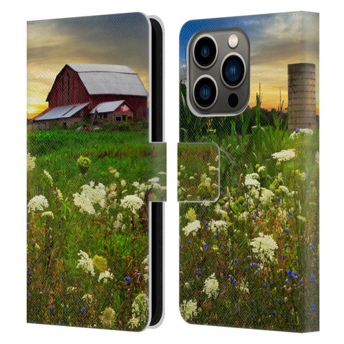 Celebrate Life Gallery Florals Sunset Lace Pastures Leather Book Wallet Case Cover For Apple iPhone 14 Pro