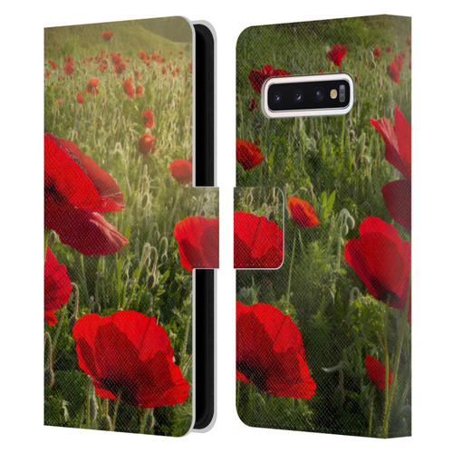 Celebrate Life Gallery Florals Waiting For The Morning Leather Book Wallet Case Cover For Samsung Galaxy S10