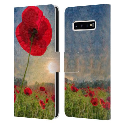 Celebrate Life Gallery Florals Red Flower Leather Book Wallet Case Cover For Samsung Galaxy S10+ / S10 Plus