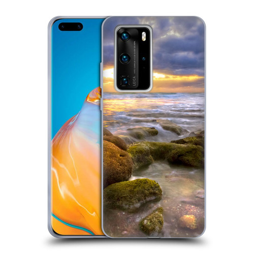 Celebrate Life Gallery Beaches Star Coral Soft Gel Case for Huawei P40 Pro / P40 Pro Plus 5G