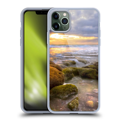 Celebrate Life Gallery Beaches Star Coral Soft Gel Case for Apple iPhone 11 Pro Max