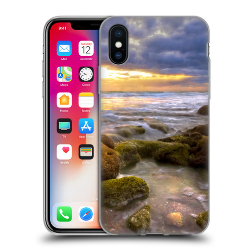 Celebrate Life Gallery Beaches Star Coral Soft Gel Case for Apple iPhone X / iPhone XS