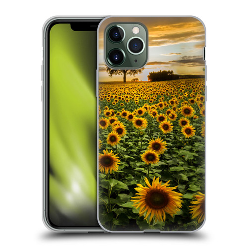Celebrate Life Gallery Florals Big Sunflower Field Soft Gel Case for Apple iPhone 11 Pro