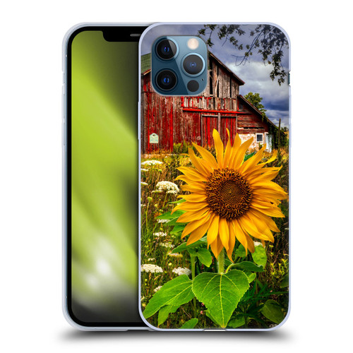 Celebrate Life Gallery Florals Barn Meadow Flowers Soft Gel Case for Apple iPhone 12 / iPhone 12 Pro