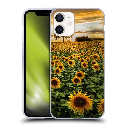 Celebrate Life Gallery Florals Big Sunflower Field Soft Gel Case for Apple iPhone 12 Mini