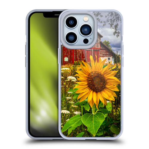 Celebrate Life Gallery Florals Barn Meadow Flowers Soft Gel Case for Apple iPhone 13 Pro
