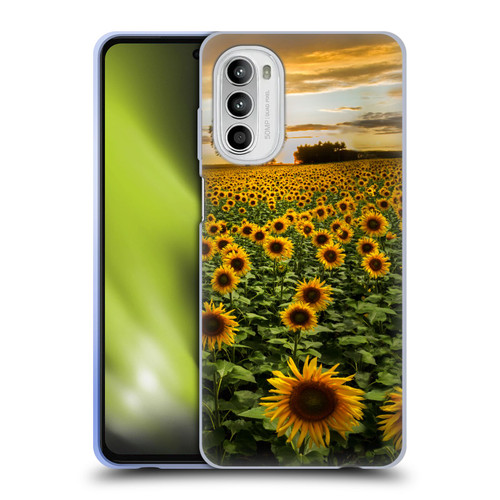 Celebrate Life Gallery Florals Big Sunflower Field Soft Gel Case for Motorola Moto G52