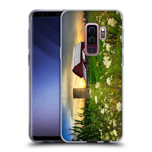 Celebrate Life Gallery Florals Sunset Lace Pastures Soft Gel Case for Samsung Galaxy S9+ / S9 Plus