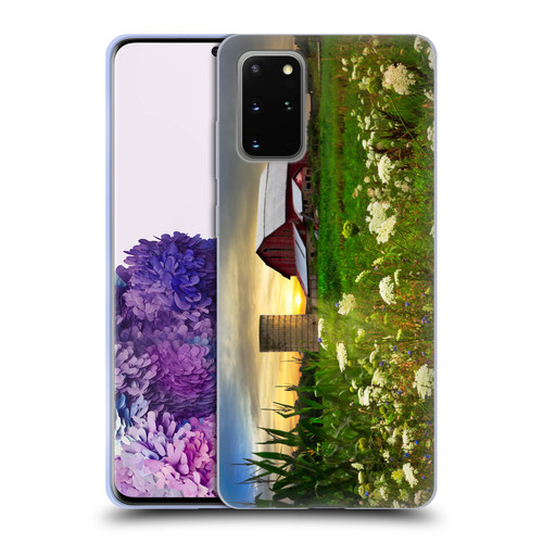 Celebrate Life Gallery Florals Sunset Lace Pastures Soft Gel Case for Samsung Galaxy S20+ / S20+ 5G