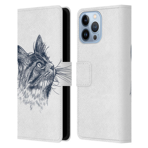 Rachel Caldwell Animals 3 Cat Leather Book Wallet Case Cover For Apple iPhone 13 Pro Max