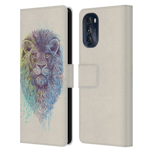 Rachel Caldwell Animals 3 Lion Leather Book Wallet Case Cover For Motorola Moto G (2022)