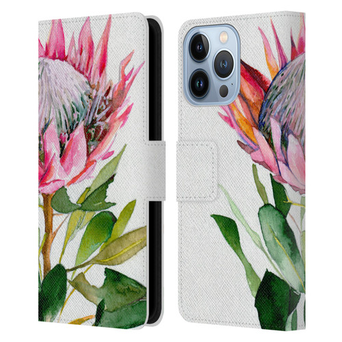 Mai Autumn Floral Blooms Protea Leather Book Wallet Case Cover For Apple iPhone 13 Pro