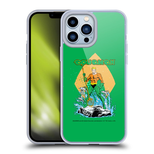 Aquaman DC Comics Fast Fashion Trident Soft Gel Case for Apple iPhone 13 Pro Max