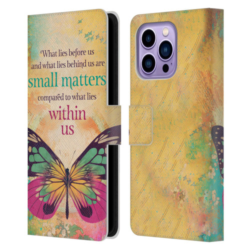 Duirwaigh Insects Butterfly 2 Leather Book Wallet Case Cover For Apple iPhone 14 Pro Max