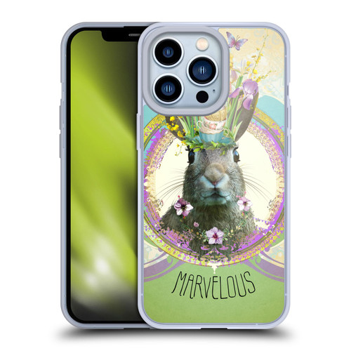Duirwaigh Boho Animals Rabbit Soft Gel Case for Apple iPhone 13 Pro & MagSafe