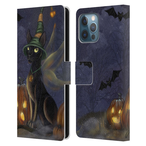 Ash Evans Black Cats The Witching Time Leather Book Wallet Case Cover For Apple iPhone 12 Pro Max