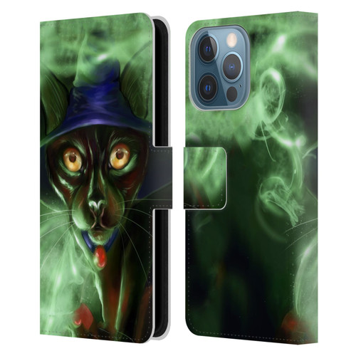 Ash Evans Black Cats Conjuring Magic Leather Book Wallet Case Cover For Apple iPhone 13 Pro