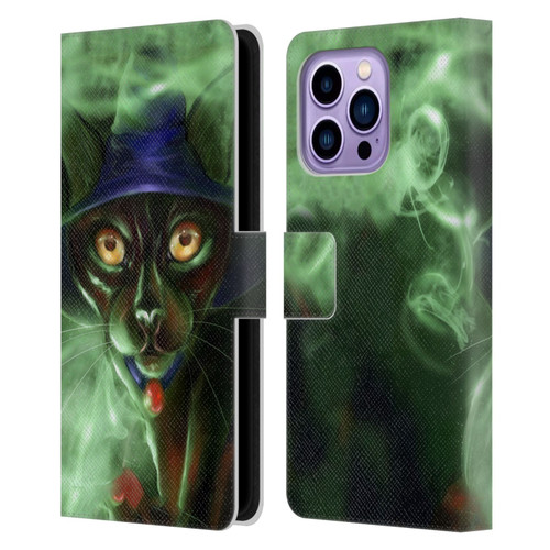Ash Evans Black Cats Conjuring Magic Leather Book Wallet Case Cover For Apple iPhone 14 Pro Max