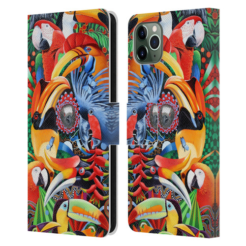 Graeme Stevenson Assorted Designs Birds 2 Leather Book Wallet Case Cover For Apple iPhone 11 Pro Max