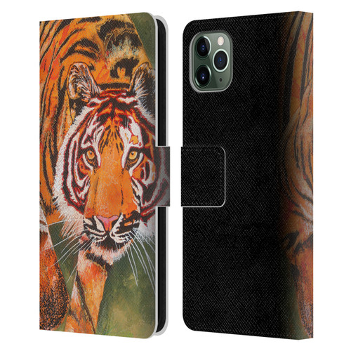 Graeme Stevenson Assorted Designs Tiger 1 Leather Book Wallet Case Cover For Apple iPhone 11 Pro Max