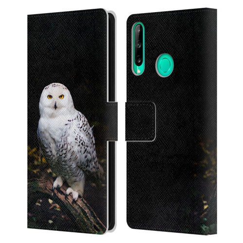 Patrik Lovrin Animal Portraits Majestic Winter Snowy Owl Leather Book Wallet Case Cover For Huawei P40 lite E