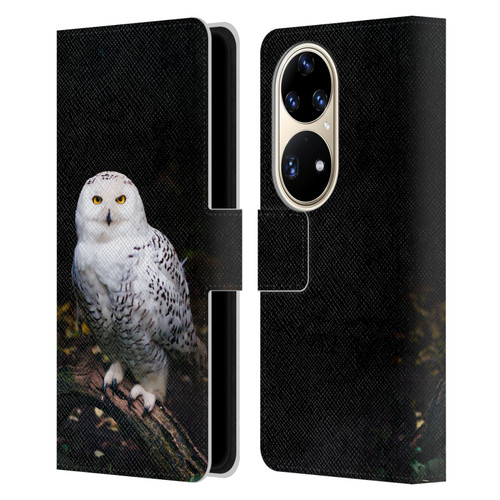 Patrik Lovrin Animal Portraits Majestic Winter Snowy Owl Leather Book Wallet Case Cover For Huawei P50 Pro