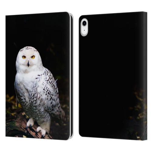 Patrik Lovrin Animal Portraits Majestic Winter Snowy Owl Leather Book Wallet Case Cover For Apple iPad 10.9 (2022)