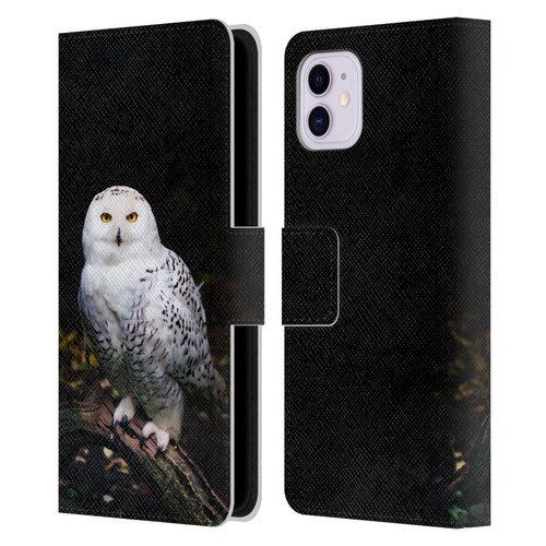 Patrik Lovrin Animal Portraits Majestic Winter Snowy Owl Leather Book Wallet Case Cover For Apple iPhone 11