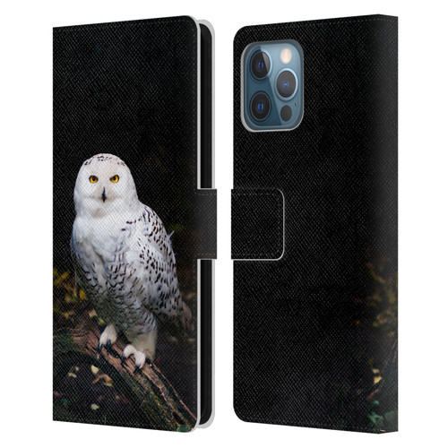 Patrik Lovrin Animal Portraits Majestic Winter Snowy Owl Leather Book Wallet Case Cover For Apple iPhone 12 Pro Max